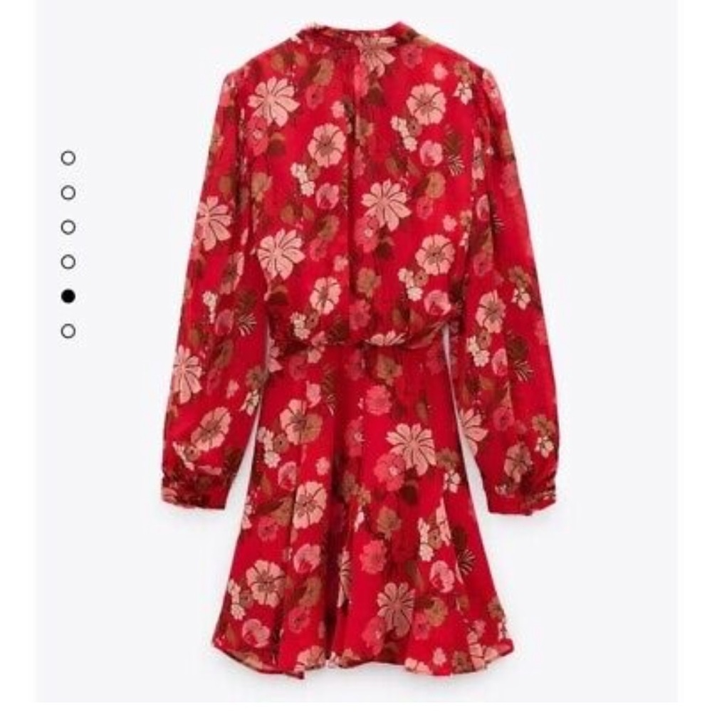 Red Zara Floral Mini Dress
